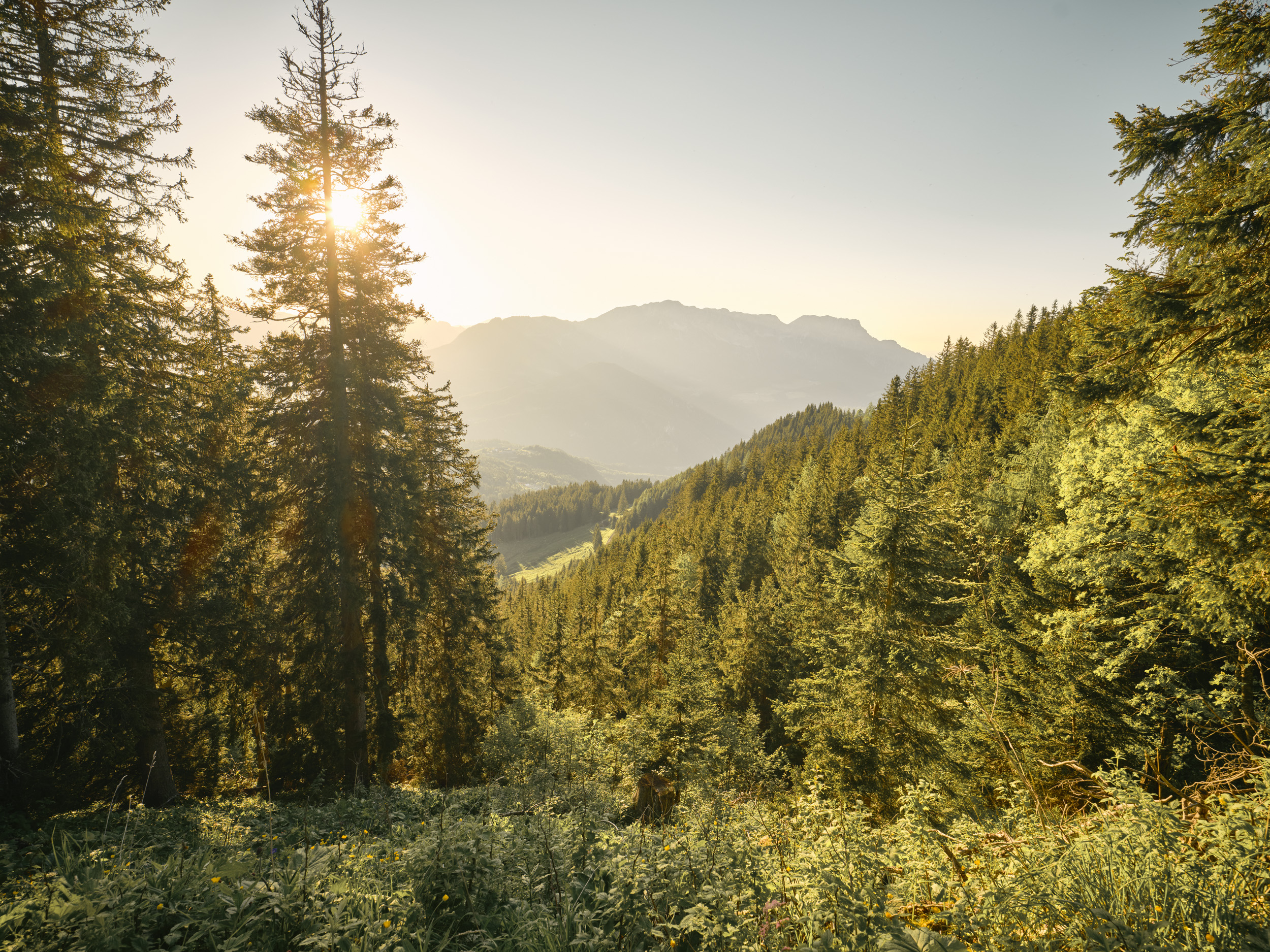 Entorno natural del Norte de México